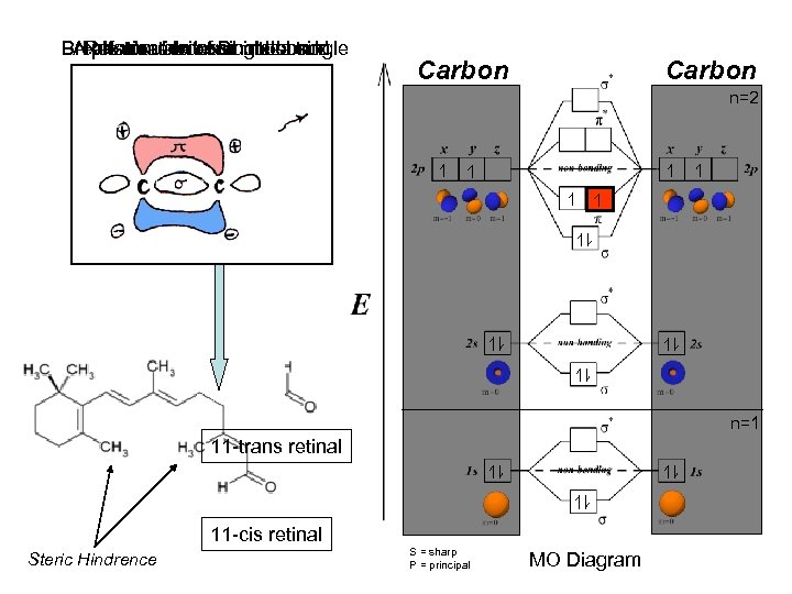 Breaks double bond π electron AReformation of Doublea single Rotationexcitessingle bond photon about a