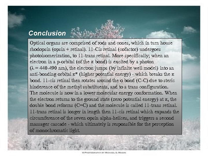 Conclusion Optical organs are comprised of rods and cones, which in turn house rhodopsin