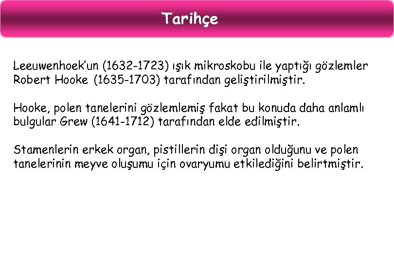 Tarihçe Leeuwenhoek’un (1632 -1723) ışık mikroskobu ile yaptığı gözlemler Robert Hooke (1635 -1703) tarafından