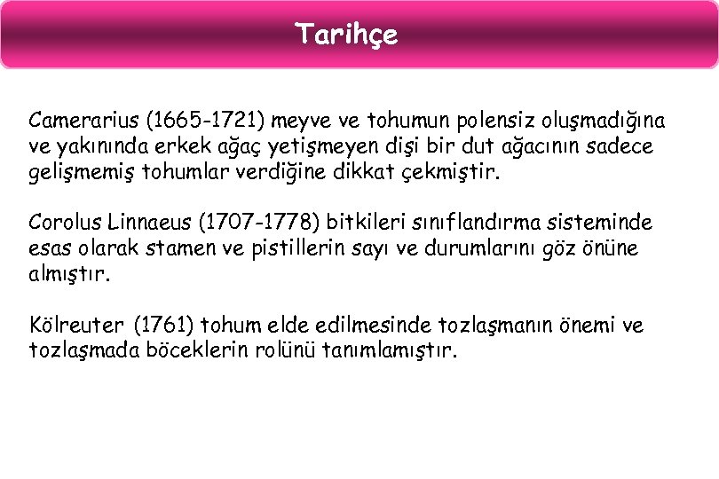 Tarihçe Camerarius (1665 -1721) meyve ve tohumun polensiz oluşmadığına ve yakınında erkek ağaç yetişmeyen