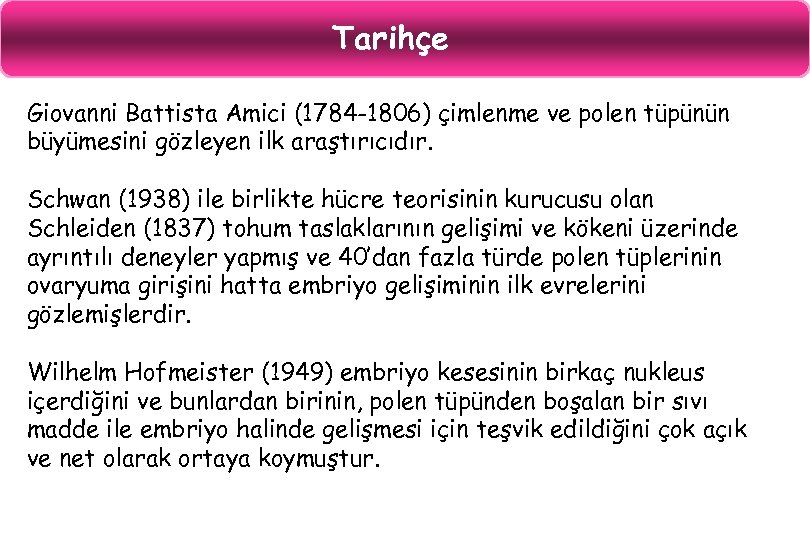Tarihçe Giovanni Battista Amici (1784 -1806) çimlenme ve polen tüpünün büyümesini gözleyen ilk araştırıcıdır.