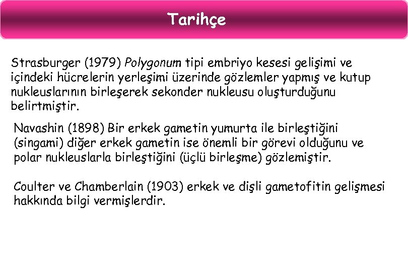 Tarihçe Strasburger (1979) Polygonum tipi embriyo kesesi gelişimi ve içindeki hücrelerin yerleşimi üzerinde gözlemler