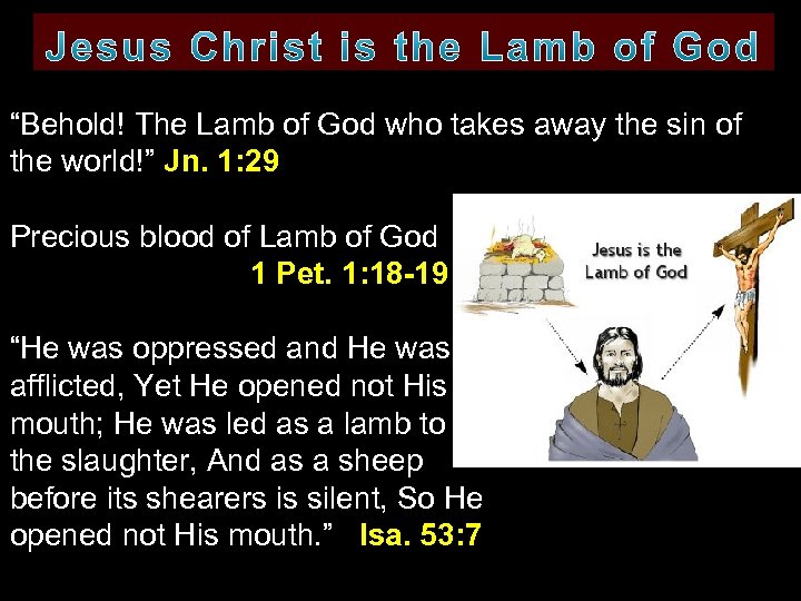 “Behold! The Lamb of God who takes away the sin of the world!” Jn.