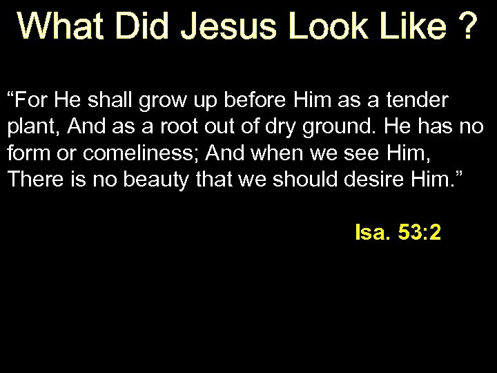 What Did Jesus Look Like ? “For He shall grow up before Him as