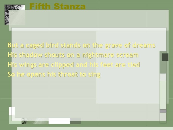 Fifth Stanza But a caged bird stands on the grave of dreams His shadow