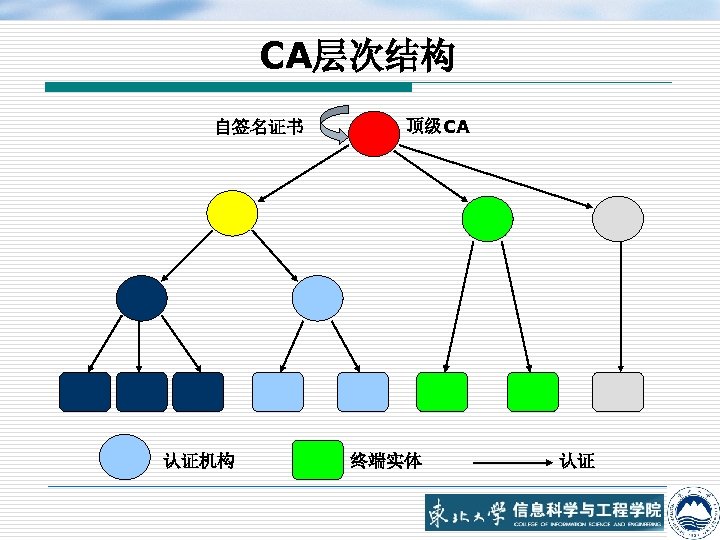 CA层次结构 自签名证书 认证机构 顶级CA 终端实体 认证 