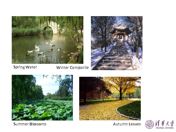 Spring Water Summer Blossoms Winter Campanile Autumn Leaves 