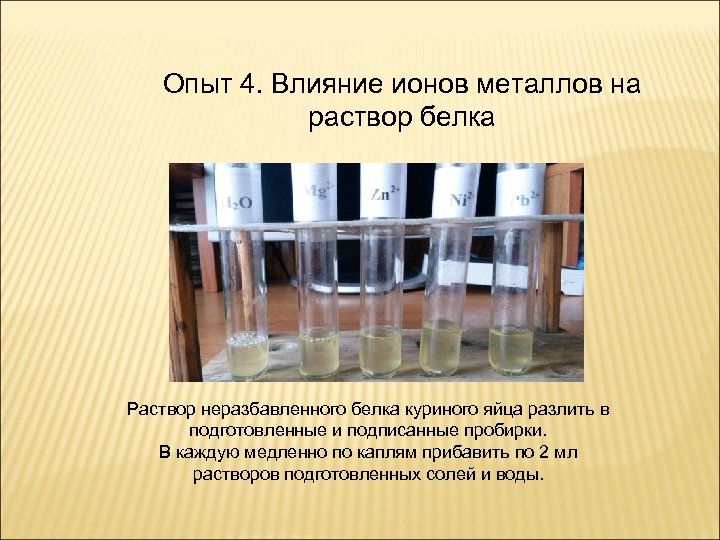 Опыт 4. Влияние ионов металлов на раствор белка Раствор неразбавленного белка куриного яйца разлить