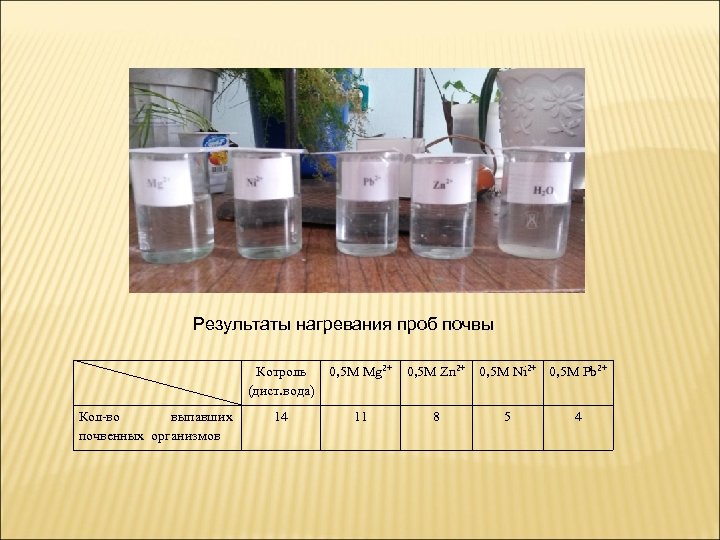 Результаты нагревания проб почвы Котроль (дист. вода) Кол-во выпавших почвенных организмов 0, 5 М