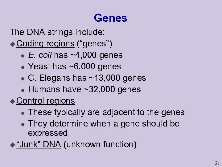 Genes The DNA strings include: u Coding regions (“genes”) l E. coli has ~4,
