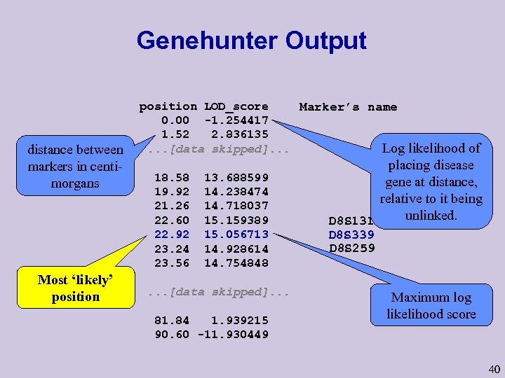 Genehunter Output distance between markers in centimorgans Most ‘likely’ position LOD_score informationname Marker’s 0.