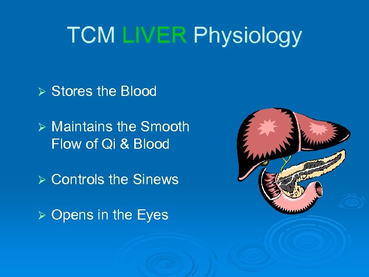 TCM LIVER Physiology Ø Stores the Blood Ø Maintains the Smooth Flow of Qi