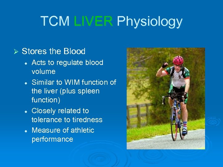 TCM LIVER Physiology Ø Stores the Blood l l Acts to regulate blood volume