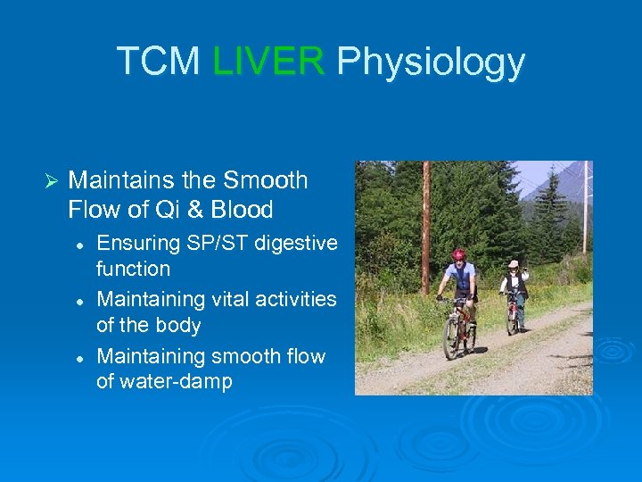 TCM LIVER Physiology Ø Maintains the Smooth Flow of Qi & Blood l l