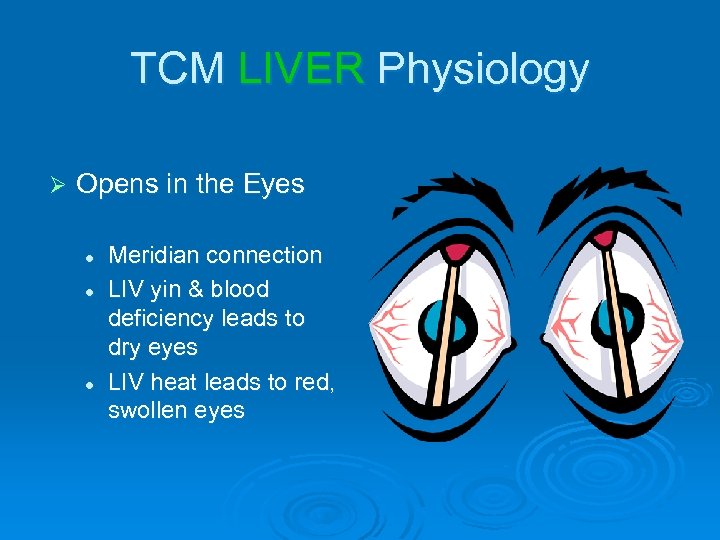 TCM LIVER Physiology Ø Opens in the Eyes l l l Meridian connection LIV