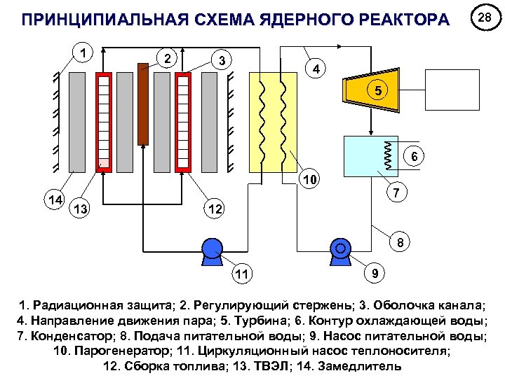ПРИНЦИПИАЛЬНАЯ СХЕМА ЯДЕРНОГО РЕАКТОРА 1 2 3 28 4 5 6 10 14 13