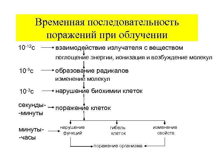 Временная последовательность поражений при облучении 10 -12 с взаимодействие излучателя с веществом поглощение энергии,