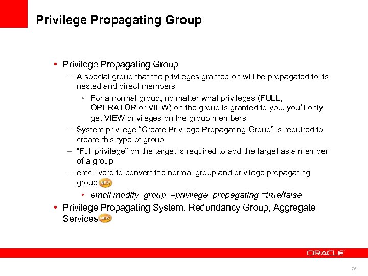 Privilege Propagating Group • Privilege Propagating Group – A special group that the privileges