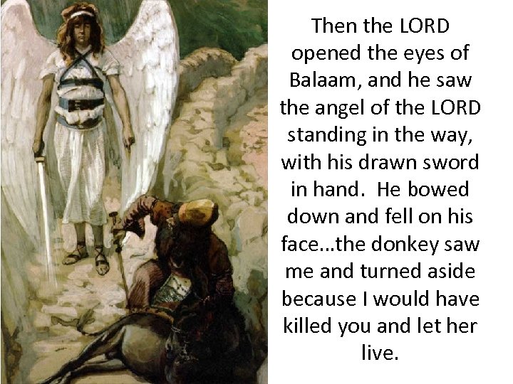 Then the LORD opened the eyes of Balaam, and he saw the angel of