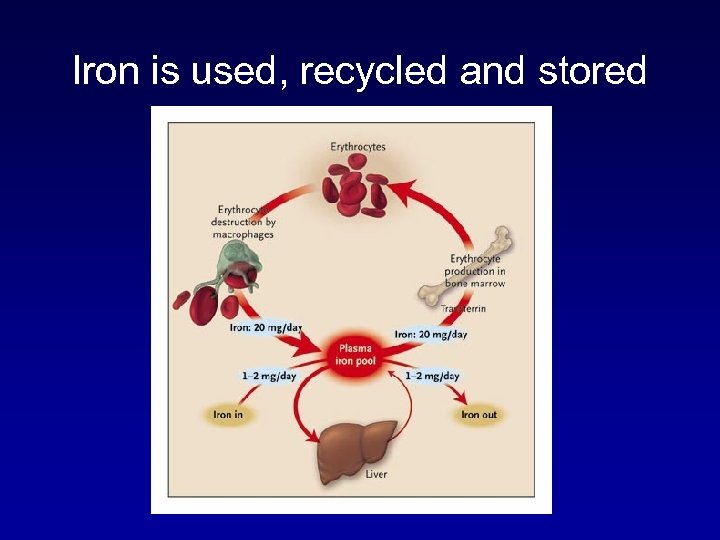 Iron is used, recycled and stored 