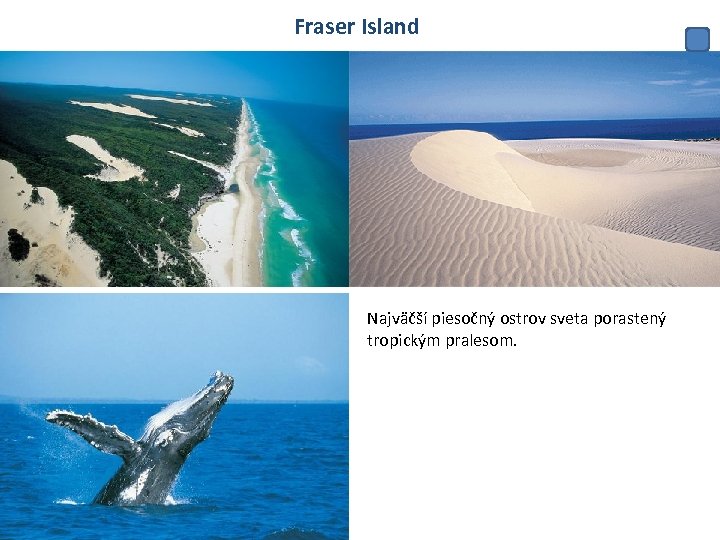 Fraser Island Najväčší piesočný ostrov sveta porastený tropickým pralesom. 