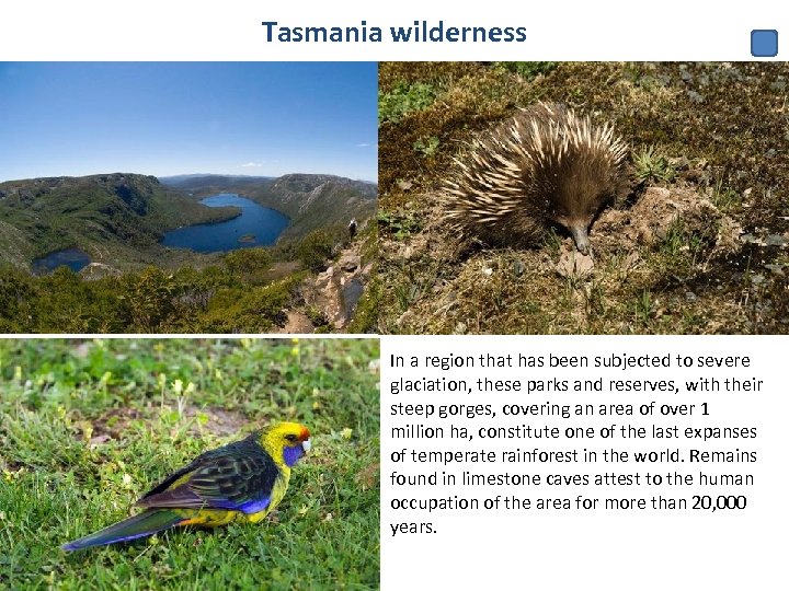 Tasmania wilderness In a region that has been subjected to severe glaciation, these parks