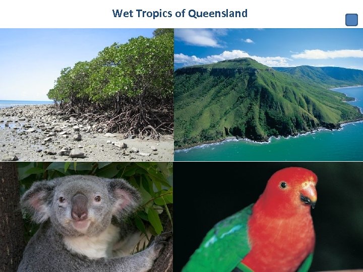 Wet Tropics of Queensland 