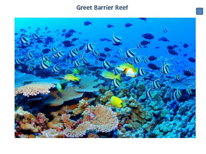 Greet Barrier Reef 