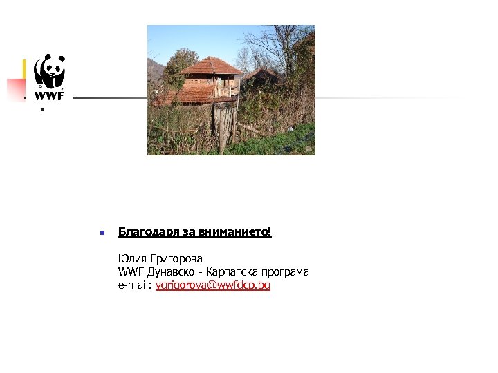 n Благодаря за вниманието! Юлия Григорова WWF Дунавско - Карпатска програма e-mail: ygrigorova@wwfdcp. bg