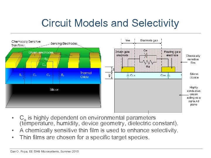 Circuit Models and Selectivity • • • Ce is highly dependent on environmental parameters