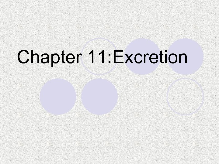 Chapter 11: Excretion 