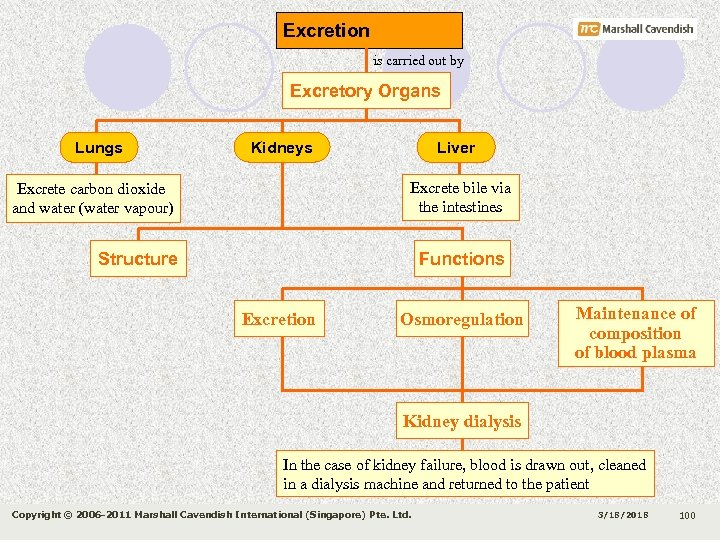 Excretion is carried out by Excretory Organs Lungs Kidneys Liver Excrete bile via the