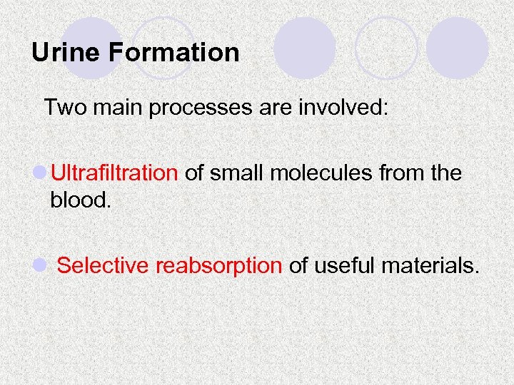 Urine Formation Two main processes are involved: l Ultrafiltration of small molecules from the