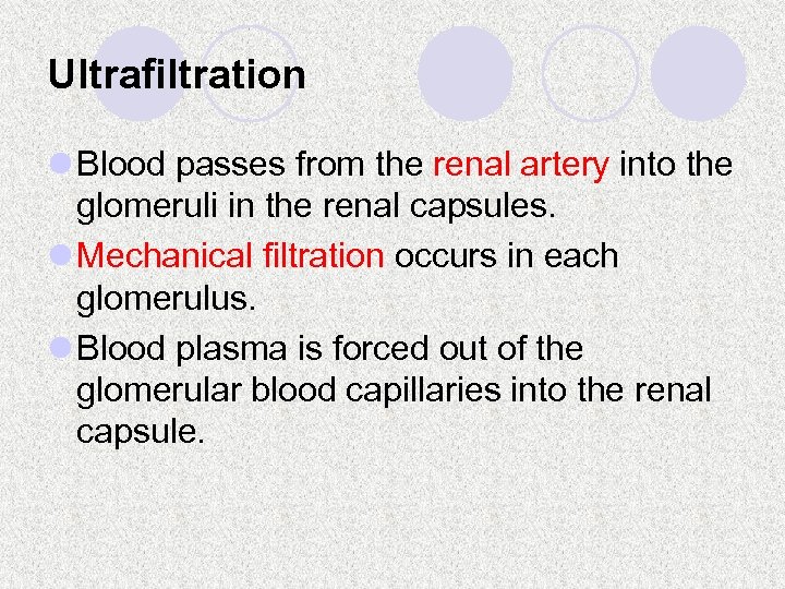 Ultrafiltration l Blood passes from the renal artery into the glomeruli in the renal