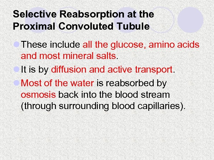 Selective Reabsorption at the Proximal Convoluted Tubule l These include all the glucose, amino