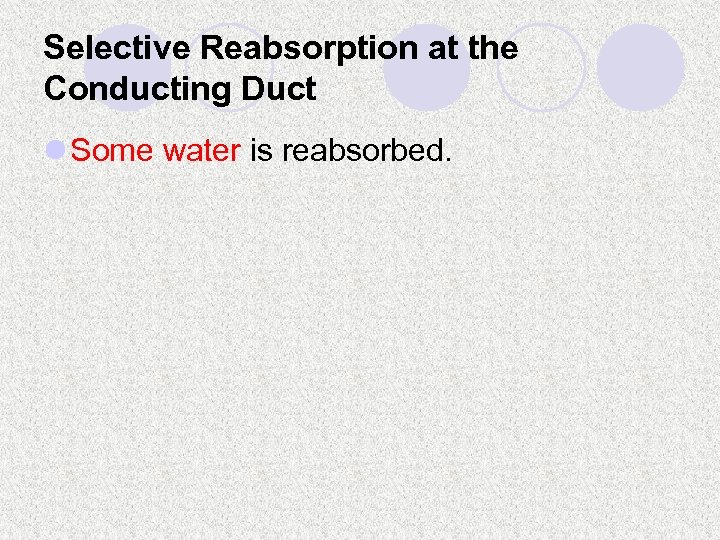 Selective Reabsorption at the Conducting Duct l Some water is reabsorbed. 