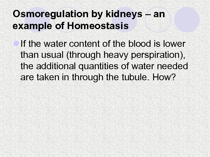 Osmoregulation by kidneys – an example of Homeostasis l If the water content of
