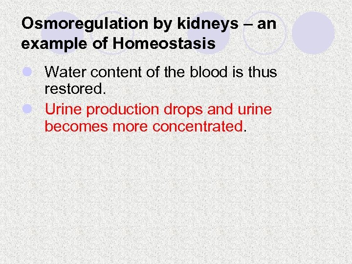 Osmoregulation by kidneys – an example of Homeostasis l Water content of the blood