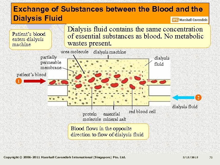 Exchange of Substances between the Blood and the Dialysis Fluid Dialysis fluid contains the