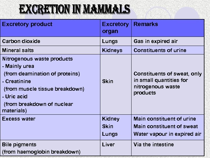 Excretory product Excretory Remarks organ Carbon dioxide Lungs Gas in expired air Mineral salts