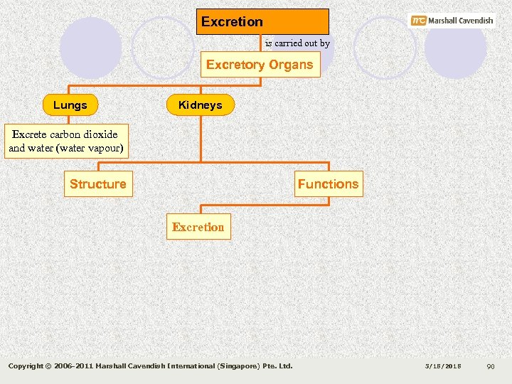 Excretion is carried out by Excretory Organs Lungs Kidneys Excrete carbon dioxide and water