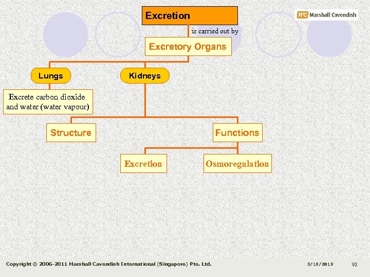 Excretion is carried out by Excretory Organs Lungs Kidneys Excrete carbon dioxide and water