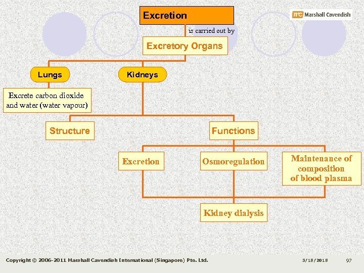 Excretion is carried out by Excretory Organs Lungs Kidneys Excrete carbon dioxide and water