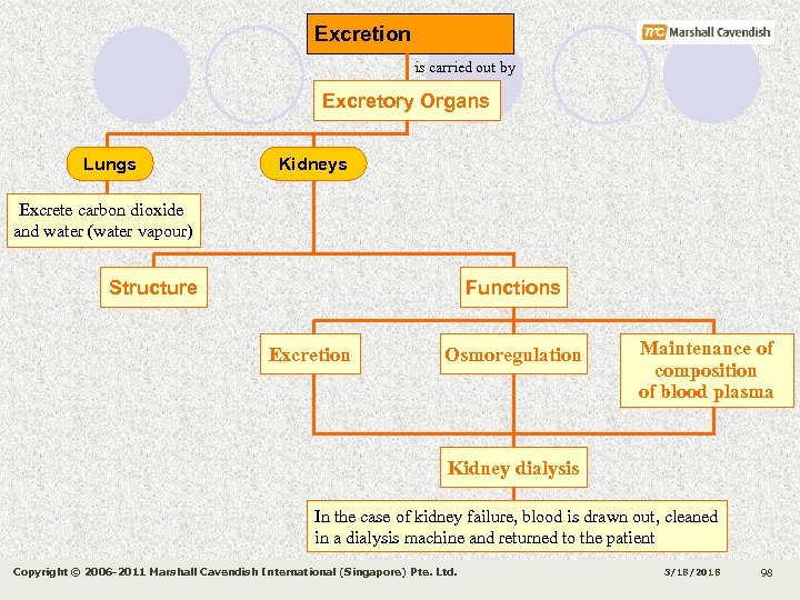 Excretion is carried out by Excretory Organs Lungs Kidneys Excrete carbon dioxide and water