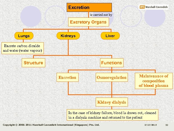 Excretion is carried out by Excretory Organs Lungs Kidneys Liver Excrete carbon dioxide and
