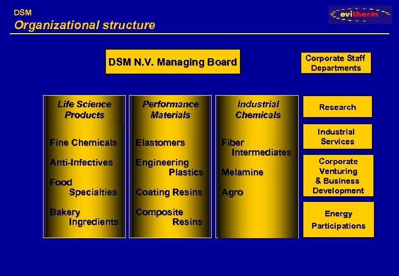 DSM Organizational structure DSM N. V. Managing Board Life Science Products Performance Materials Fine