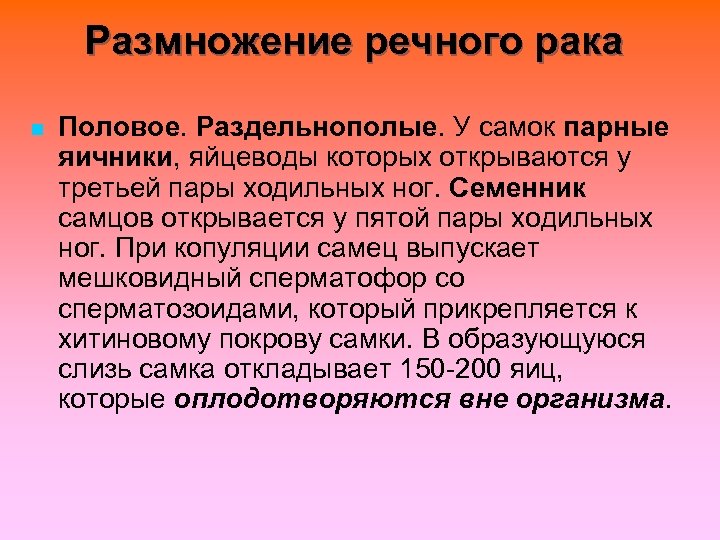 Размножение речного рака n Половое. Раздельнополые. У самок парные яичники, яйцеводы которых открываются у