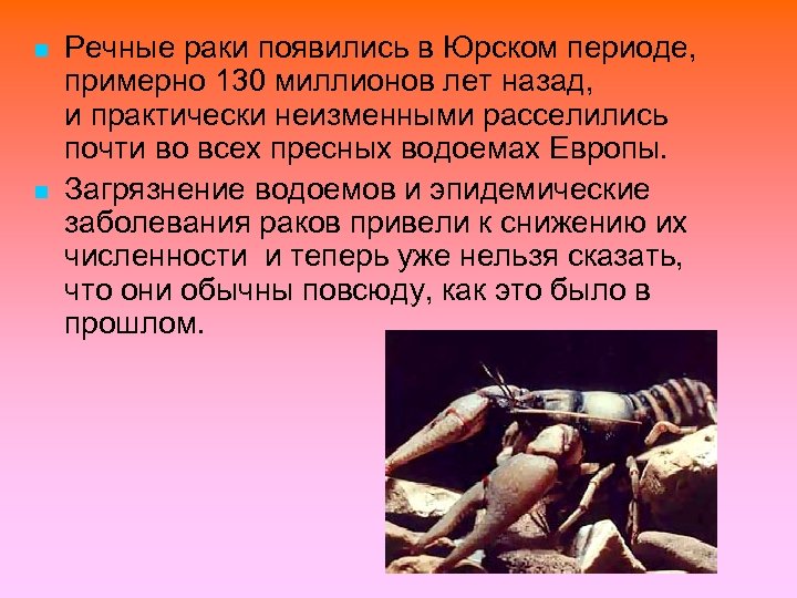 n n Речные раки появились в Юрском периоде, примерно 130 миллионов лет назад, и