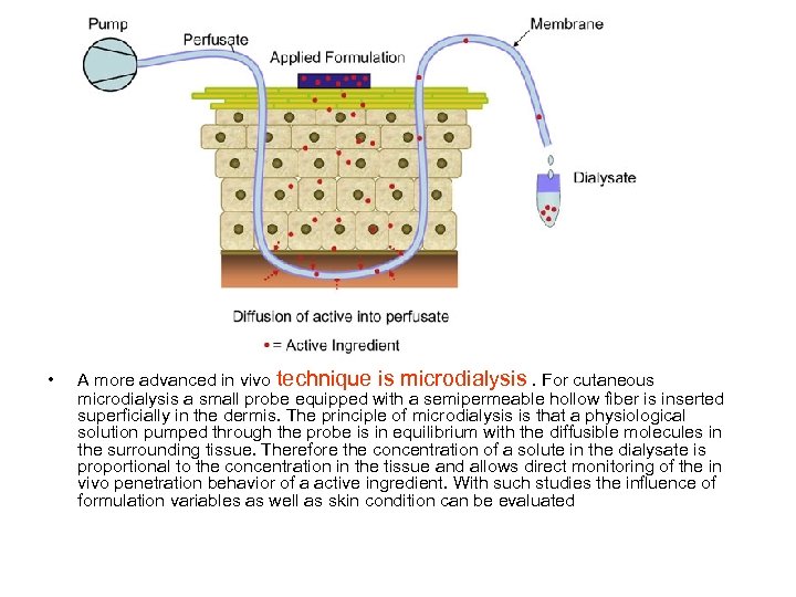  • A more advanced in vivo technique is microdialysis. For cutaneous microdialysis a