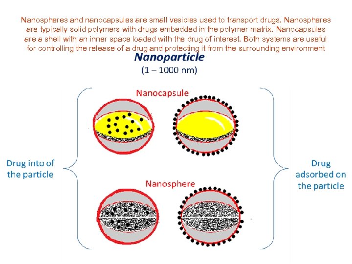 Nanospheres and nanocapsules are small vesicles used to transport drugs. Nanospheres are typically solid